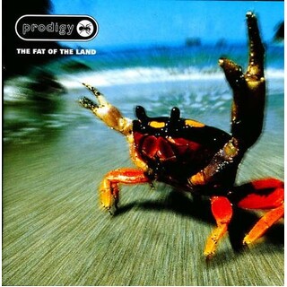 THE PRODIGY - Fat Of The Land (Vinyl)