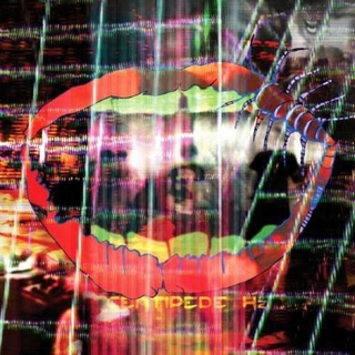 ANIMAL COLLECTIVE - Centipede Hz - Limited