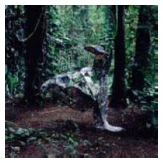 CSS - Donkey (Vinyl)