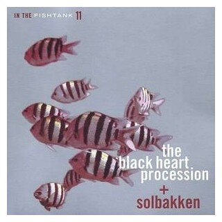 BLACK HEART PROCESSION / SOLBAKKEN - In The Fishtank