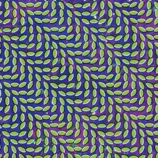 ANIMAL COLLECTIVE - Merriweather Post Pavilion (Vinyl)