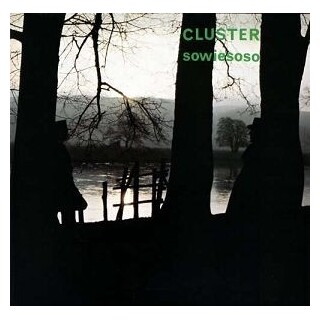 CLUSTER - Sowiesoso