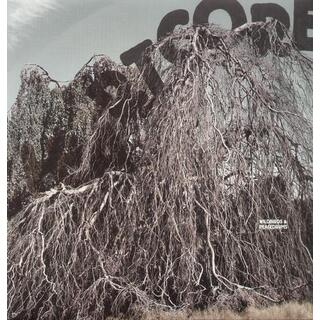 WILDBIRDS &amp; PEACEDRUMS - Heartcore