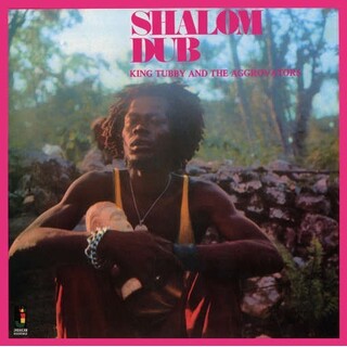 KING TUBBY/AGGROVAT - Shalom Dub