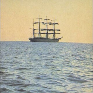 SMOG - Doctor Came At Dawn, The (Vinyl)