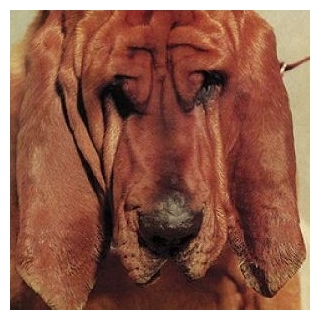 TY SEGALL - Goodbye Bread (Vinyl)