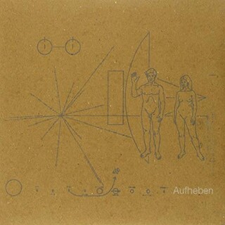 BRIAN JONESTOWN MASSACRE - Aufheben (180g 2lp)