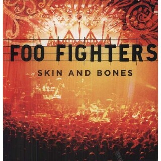 FOO FIGHTERS - Skin &amp; Bones (Vinyl)