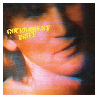 GOVERNMENT ISSUE - Fun Just Never Ends