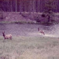 SEAHAVEN - Winter Forever