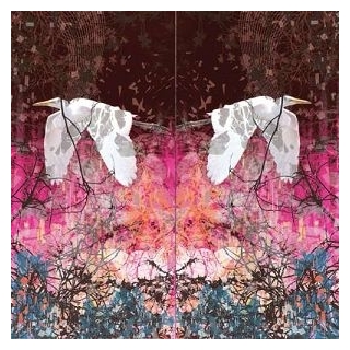 NADJA - Thaumogenenis =ltd=  (62 Min Track. Think Merbow Meets Swans Meets Sunn O))))
