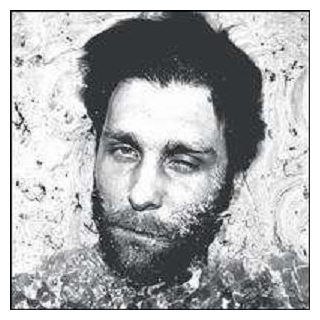 WILDBIRDS &amp; PEACEDRUMS - Iris