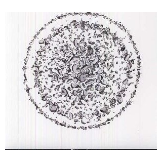 GOLDEN RETRIEVER - Occupied With The  Unspoken