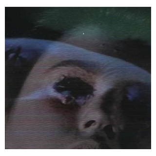 PS I LOVE YOU - Death Dreams (180gm Vinyl/lmtd Ed.)