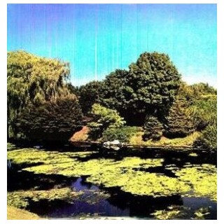SHELLAC - Terraform