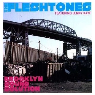 FLESHTONES - Brooklyn Sound Solution