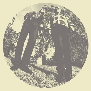 TY SEGALL - Hair (Vinyl)