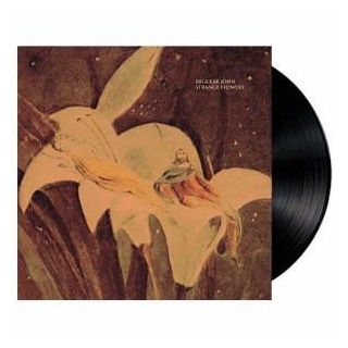 REGULAR JOHN - Strange Flowers (Vinyl)