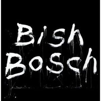 SCOTT WALKER - Bish Bosch (Vinyl + Cd)