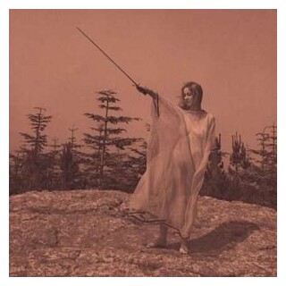 UNKNOWN MORTAL ORCHESTRA - Ii (Vinyl)