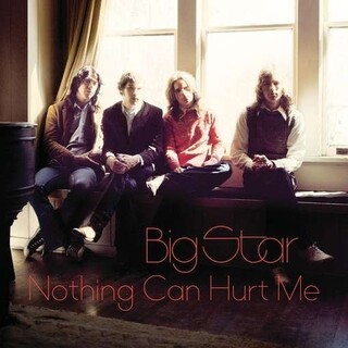 BIG STAR - Nothing Can Hurt Me (2 Lp)