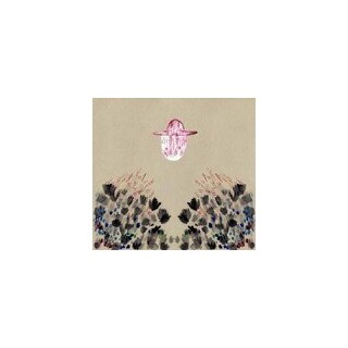 DEVENDRA BANHART - Smokey Rolls Down Thunder Canyon