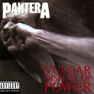 PANTERA - A Vulgar Display Of Power (Vinyl)