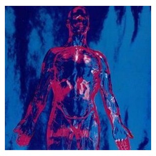 NIRVANA - Sliver (7in Vinyl Single)