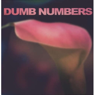 DUMB NUMBERS - Dumb Numbers