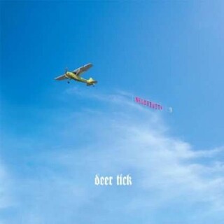 DEER TICK - Negativity