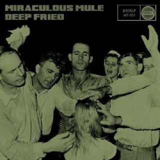 MIRACULOUS MULE - Deep Fried