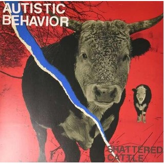 RSD - Autistic Behavior