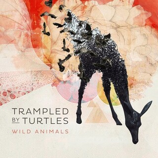 TRAMPLED BY TURTLES - Wild Animals