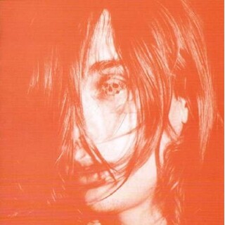 DEERHUNTER - Microcastle