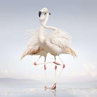 RUSTIE - Green Language (Vinyl)