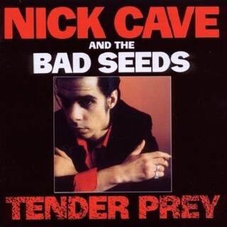 NICK CAVE &amp; THE BAD SEEDS - Tender Prey