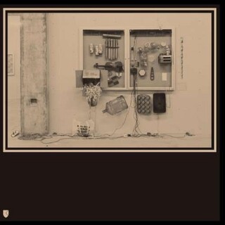 DAVID X TEN VAN TIEGHEM - Fits &amp; Starts