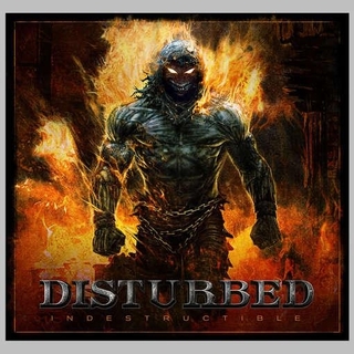 DISTURBED - Indestructible (Vinyl) (2015 Reissue)