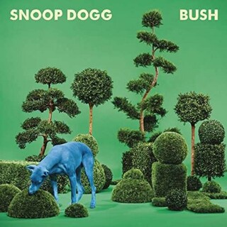 SNOOP DOGG - Bush (Dli)