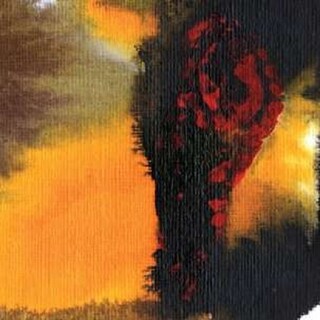 POLAR BEAR - Same As You (W/cd)
