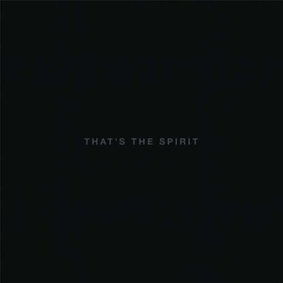 BRING ME THE HORIZON - That&#39;s The Spirit (Vinyl)