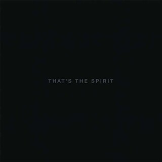 BRING ME THE HORIZON - That&#39;s The Spirit (Vinyl)