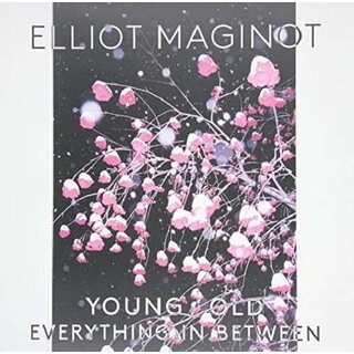 MAGINOT - Young/old/everything.In.Between (Vinyl)