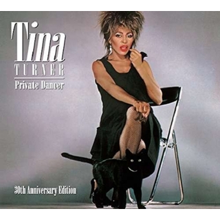 TINA TURNER - Private Dancer