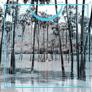 FOUR TET - Pink