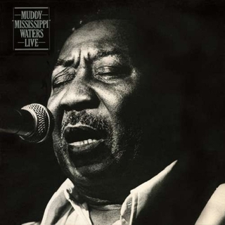 MUDDY WATERS - Muddy &#39;mississippi&#39; Waters-live (Hol)