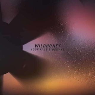 WILDHONEY - Your Face Sideways