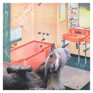 WHITE LUNG - Songs Of The South (Uk)