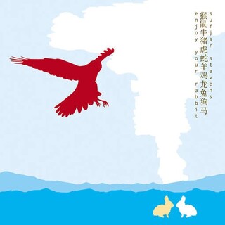 SUFJAN STEVENS - Enjoy Your Rabbit (Colv)