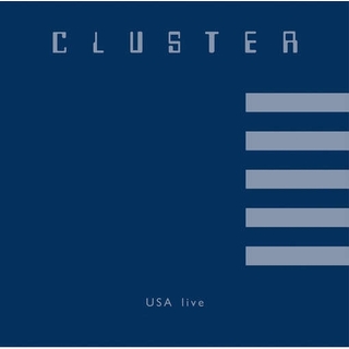 CLUSTER - Usa Live (180g)
